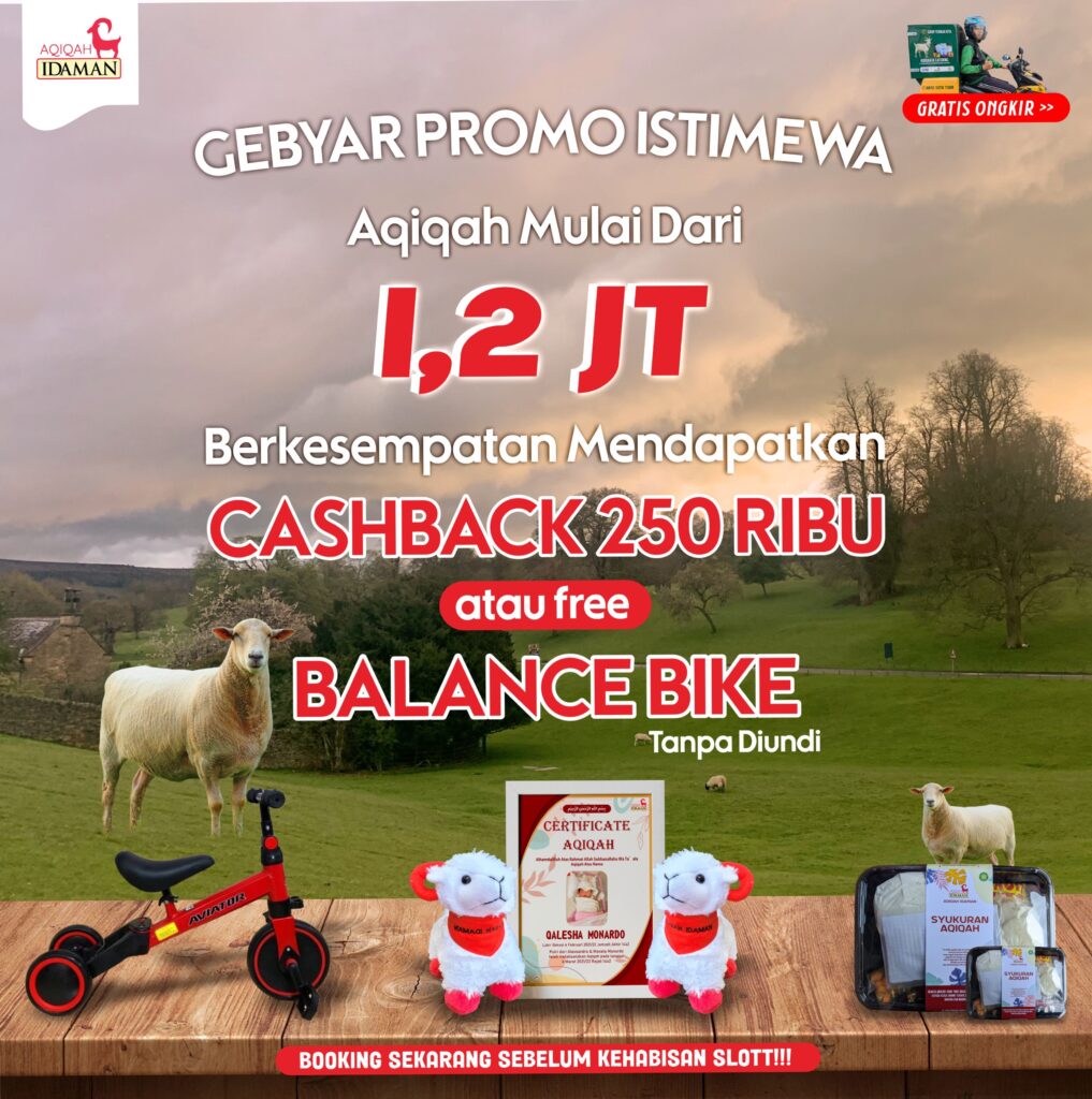 PROMO BIKE.jpg